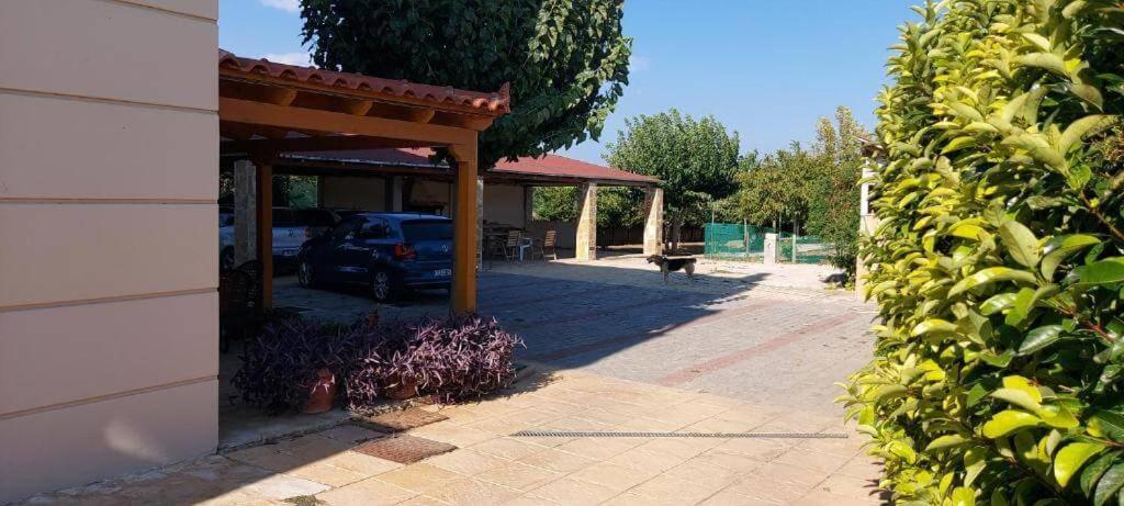 Evelina'S Studio Artemida  Dış mekan fotoğraf